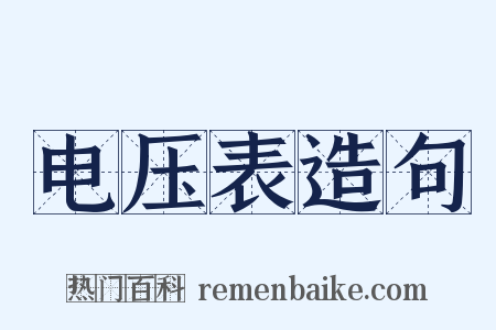 电压表造句是什么意思的图片